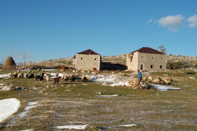 Albanian Homes